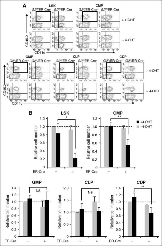Figure 3. Stage-specific requirement for GATA2 during DC differentiation. (A) Percentages of DCs generated in each culture were determined using flow cytometry. To compare different experiments, data were normalized to the cell numbers of Gata2f/f cultures in the absence of tamoxifen (B). Data are expressed as means ± SDs (n = 3). *P < .05, **P < .01. NS, not significant.