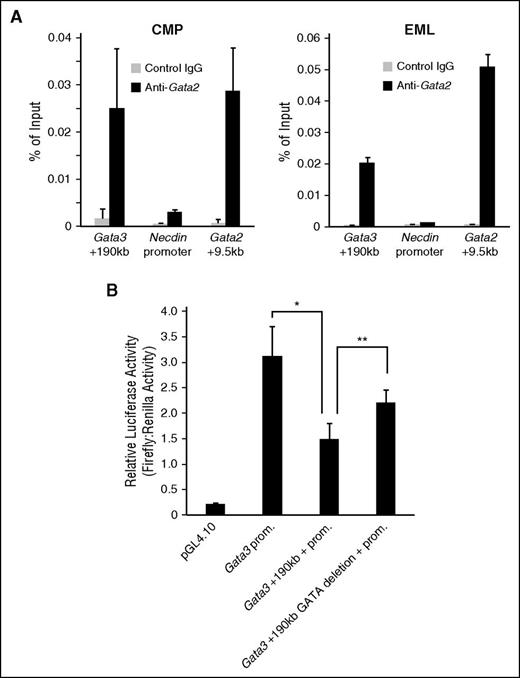 Figure 5. GATA2 negatively regulates the transcriptional activity of Gata3. (A) A quantitative ChIP analysis of GATA2 chromatin occupancy at Gata3 locus in CMPs (left) and EML cells (right) (means ± SDs, n = 3). The necdin promoter and Gata2 +9.5 kb were used as negative and positive controls, respectively.27 (B) Transcriptional activity through the Gata3 +190-kb site assessed via luciferase assay. The Gata3 promoter (Gata3 prom), Gata3 +190-kb region + Gata3 promoter (Gata3 +190 kb + prom), or GATA sequence-deleted Gata3 +190-kb region + Gata3 promoter (Gata3 +190 kb deletion + prom) was fused to a luciferase reporter gene and transiently transfected into EML cells (means ± SDs; n = 5). *P < .05.
