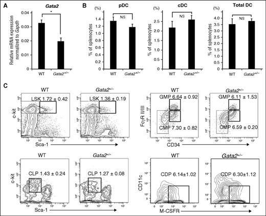 Figure 6. Analysis of Gata2-haploinsufficient mice. (A) Relative Gata2 mRNA expression levels in BM cells from Gata2-haploinsufficient (Gata2+/−) and WT mice (8 weeks old). Data are expressed as means ± SDs (n = 3). *P < .05. (B) Percentages of splenic DC populations (pDCs and cDCs) in Gata2+/− and WT mice were determined by flow cytometry. Data are expressed as means ± SDs (n = 4). (C) Percentages of BM progenitor cells in Gata2+/− and WT mice were determined by flow cytometry. Data are expressed as means ± SDs (n = 4). No significant difference was observed between the cell populations. NS, not significant.