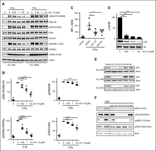 Figure 1. CC-115 inhibits the DNA damage repair pathway and TORK in CLL cells. (A-B) Freshly isolated CLL cells were incubated with the indicated concentration CC-115 for 30 minutes and irradiated (5 Gy), and lysates were made after 30 minutes. Protein lysates were probed for pDNA-PK (S2056), DNA-PK, pATM (S1981), ATM, pHSP90α (T5/7), HSP90α, yH2AX, and vinculin and cofilin for loading control. (A) Blots from 2 representative CLL samples are shown of 5 analyzed (supplemental Table 1; CLL patients 1, 2A, 3A, 4A, and 5). (B) Densitometric analysis of pDNA-PK, pATM, pHSP90α, and yH2AX is shown. ***P < .001 (1-way ANOVA). (C) CLL cells of ATM mutated patients (n = 4, patients 12-15) were treated with or without 1 µM NU7441 or CC-115 followed by irradiation (5 Gy), and yH2AX expression was measured at 2 hours using flow cytometry. *P < .05, **P < .01 (1-way ANOVA). (D) CLL cells were incubated with the indicated concentration of CC-115 for 30 minutes, and lysates were made after 30 minutes. Protein lysates were probed for pS6 (S240/244) and S6. Blot from patient 85 and densitometric analysis are shown (n = 3, patients 85, 87, and 88). Bars represent the mean ± standard error of the mean (SEM), ***P < .001 (1way ANOVA). (E) CLL cells were cultured in the presence or absence of 1 µM CC-115, CC-214, CC-292, or idelalisib for 1 hour. Protein lysates were probed for pS6 (S240/244) and actin for loading control. Blots from 3 representative CLL samples are shown (supplemental Table 1; CLL patients 19-21). (F) CLL cells (patient 20) pretreated with 1 µM idelalisib, CC-115, CC-214, and CC-292 were stimulated with αIgM for 20 minutes. Protein lysates were probed for pAKT(S473), pS6 (S240/244), p4EBP1 (T37/46), and pERK (T202/204) and actin as loading control.