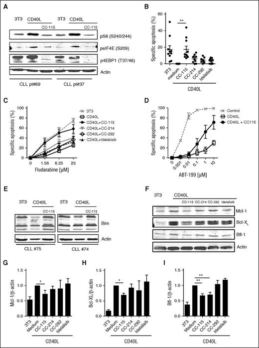 Figure 3. CC-115 reverts CD40-induced chemoresistance. (A-I) CLL cells were cultured on 3T3 fibroblasts or CD40L-expressing fibroblasts (CD40L) in the presence or absence of 1 µM CC-115, CC-214, CC-292, or idelalisib for 3 days. (A) Protein lysates were probed for pS6 (S240/244), peIF4E (S209), p4EBP1 (T37/46), and actin as loading control. Blots from 2 representative CLL samples are shown (patients 70 and 37). (B) Survival was analyzed by DiOC6 staining. Results are shown as mean ± SEM. *P < .05, **P < .01 (1-way ANOVA; n = 10; patients 6, 25, 30, 33B, 34A, 43B, 72-74, and 75). (C) After 3 days, fludarabine sensitivity assay was performed. Apoptosis was assessed by DiOC6/PI staining, and specific apoptosis is shown as mean ± SEM (n = 9; patients 6, 25, 30, 33B, 34A, 43B, and 72-74). (D) After 3 days, an ABT-199 sensitivity assay was performed. Results are shown as mean ± SEM (n = 3; patients 33B, 35B, and 45). (E) Protein lysates were probed for Bim and actin as loading control. Blots of 2 representative CLL samples are shown of 7 analyzed. (F) Protein lysates were probed for Mcl-1, Bcl-XL, Bfl-1, and actin as loading control. Blot from 1 representative CLL sample is shown of 9 analyzed. (G-I) Densitometric analysis of (G) Mcl-1/actin, (H) Bcl-XL/actin, and (I) Bfl-1/actin level is shown. Bars represent mean ± SEM. *P < .05, ** P < .01 (1-way ANOVA).