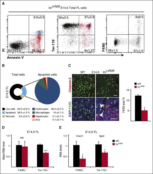 Figure 3. Macrophage and erythroid cell apoptosis in FL after Vegfc deletion at E7.5. (A-B) Flow cytometric analysis of annexin V and propidium iodide–stained E14.5 VciΔR26 FL cells. As the pie diagrams illustrate, 28.5% of the total FL cells are apoptotic; ∼90% of these are Ter-119+, ∼10% are F4/80+ macrophages (n = 6; mean ± SEM). (C) Immunohistochemical staining shows that at E14.5, VciΔR26 FLs have significantly less F4/80+ macrophages, and many of these are apoptotic based on staining for activated caspase-3 (n = 3 per group; mean ± SEM; *P < .05). Bar represents 100 μm. (D-E) qPCR analysis on Maea, Itga4, and Vcam1 RNAs from Ter-119+ (erythroid enriched) and F4/80+ (macrophage enriched) FL cells. Quantifications of RNA fold changes are shown (n = 3-5 per group; mean ± SEM; *P < .05; ***P < .001).