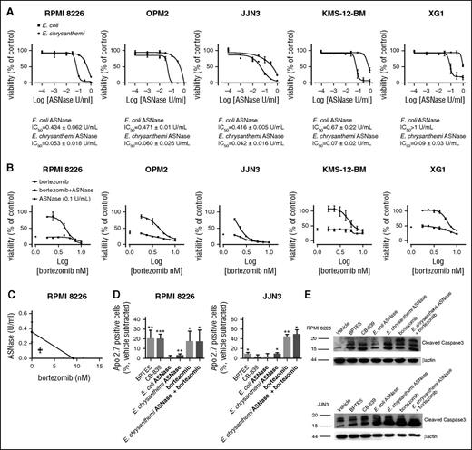 Figure 4. MM cells are sensitive to E. chrysanthemi ASNase treatment. (A) HMCLs were treated with increasing doses of l-asparaginase (ASNase) from E. coli or E. chrysanthemi (from 0.0001 to 1 U/mL). After 48 hours, cell viability was assessed, and data were expressed as % of the value obtained with untreated cells. For each HMCL, IC50 for E. coli ASNase and for the E. chrysanthemi enzyme are shown. (B) HMCLs were treated with increasing doses of bortezomib (from 1.77 to 10 nM) or vehicle in the presence or in the absence of E. chrysanthemi ASNase (0.1 U/mL). After 48 hours, cell viability was assessed, and data were expressed as % of the value obtained with the cells treated with vehicle. For panels A and B, data are means ± SD of 3 experiments with 3 determinations each. (C) RPMI 8226 were treated with increasing doses of bortezomib (from 1 to 16 nM), increasing doses of E. chrysanthemi ASNase (from 0.0625 to 1 U/mL), or the combination of the 2 drugs (16:1) or vehicle. After 48 h, cell viability was assessed, and the data were analyzed as % of the value obtained with the cells treated with vehicle. Combination index analysis was then performed using CompuSyn software. Isobologram for ED75 represents means ± SEM of 3 experiments with 5 determinations each. (D-E) RPMI 8226 and JJN3 cells were treated for 24 hours with BPTES (40 µM), CB-839 (1 µM), or ASNase from E. coli (1 U/mL), or ASNase from E. chrysanthemi (0.1 U/mL), or bortezomib (10 nM), or ASNase from E. chrysanthemi (0.1 U/mL) and bortezomib (10 nM), or vehicle. For panel D, cell expression of Apo 2.7 was then evaluated by flow cytometry. The graph shows the mean % plus SD (n = 3) of Apo 2.7 positive cells for each condition after the subtraction of the value obtained in control. For panel E, cells expression of cleaved forms of caspase 3 in HMCLs, evaluated by Western blot. β-Actin was used for loading control. For panels A, B, and D, *P < .05, ***P < .001 vs control.