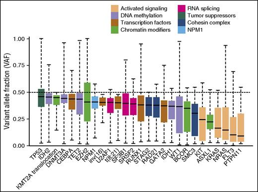 Analysis of variant allele frequencies (VAFs) of different driver gene mutations. The boxplot shows the median, 25th, and 75th percentiles, and minimum and maximum VAF observed across the entire cohort of 664 patients. VAFs were adjusted for local copy number. Boxes are colored according to the functional category assigned to each driver gene. Only mutations found in ≥20 patients were included. The black dashed line marks an allele frequency of 0.5, the expected VAF for a heterozygous variant present in all cells in the specimen. Insertions and deletions of ≥15 base pairs were excluded, because VAFs for larger variants were skewed, possibly because of amplification bias. VAFs for balanced translocations and inversions (ie, t(8;21), inv(16) and balanced translocations involving the KMT2A locus) were determined by interphase fluorescence in situ hybridization on ≥200 nuclei.