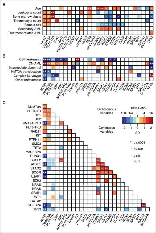 Associations between driver gene mutations, cytogenetics, and patient characteristics. Associations were studied for driver gene mutations found in ≥20 patients, and statistical significance was assessed using the Fisher exact test for categorical variables and the Wilcoxon rank-sum test for continuous variables, with adjustment for multiple testing using the Benjamini-Hochberg method. Only those pairings that were significant at an adjusted q < .1 are shown. The odds ratio of the association is color coded, and the significance level is indicated by the symbol in each field. Orange and red colors indicate a positive association (ie, 2 characteristics that frequently occurred together in the same patient, or for the association between a mutation and a continuous variable, a higher value in those carrying the mutation). Blue colors indicate a negative association (ie, 2 characteristics that rarely occurred together in the same patient, or for the association between a mutation and a continuous variable, a lower value in those carrying the mutation). (A) Pairwise associations between gene mutations and clinical patient characteristics. (B) Pairwise associations between gene mutations and cytogenetic findings. (C) Pairwise associations among gene mutations.