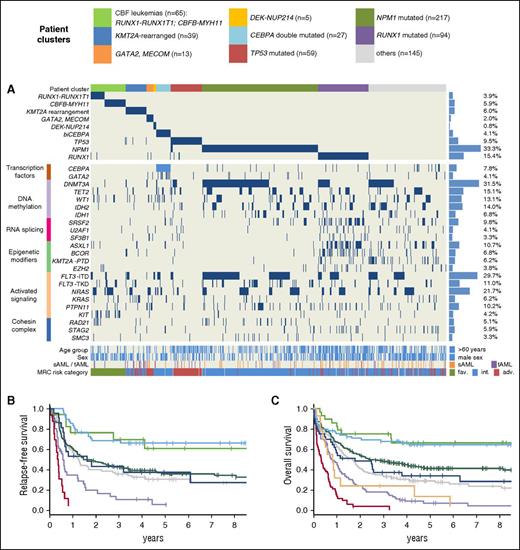 Subgroups of AML patients defined by mutually exclusive genetic alterations. (A) Heatmap depicting gene mutations and balanced chromosomal translocations in 664 adult AML patients. Mutually exclusive gene signature analysis (MEGSA) identified 8 patient clusters (color coded at the top of the figure) based on almost mutually exclusive genetic alterations. The CBF rearrangements (RUNX1-RUNX1T1 and CBF-MYH11) were combined into 1 cluster in this analysis. The 9 resulting patient subgroups (8 mutually exclusive clusters and 1 subgroup comprising the remaining patients) differ with regard to co-occurring gene mutations and clinical characteristics. (B) RFS and (C) OS of the patient subgroups defined by mutually exclusive genetic alterations. Subgroups are color coded according to legend at the top of the figure. Patients with DEK-NUP214 were not included in both analyses, and patients with GATA2-MECOM were not included in the analysis of RFS, owing to small patient numbers.