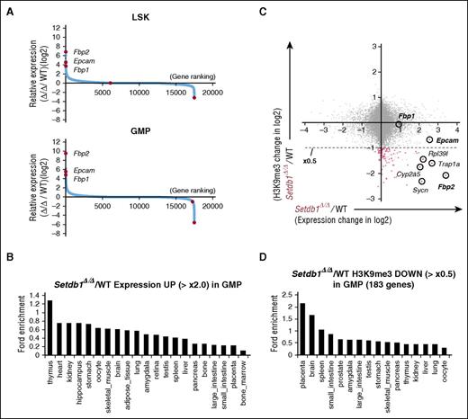 Figure 3. Nonhematopoietic genes are ectopically activated in Setdb1-deficient HSPCs. (A) Sequential plots of genes according to fold expression changes in Setdb1Δ/Δ LSK cells and GMPs from WT cells 2 weeks after the first injection of tamoxifen detected by RNA-seq. Representative genes with significant expression changes are indicated. (B) Enrichment of organ-specific genes in upregulated genes (≥×2.0) in Setdb1Δ/Δ GMPs. The enrichment of genes preferentially expressed in each organ and tissue in the above gene set was calculated by ExAtlas software (http://lgsun.grc.nia.nih.gov/exatlas/). (C) A scatter plot showing the correlation between H3K9me3 levels and the expression levels of RefSeq genes in Setdb1Δ/Δ GMPs relative to WT GMPs. The 183 genes showing reductions in H3K9me3 levels greater than 2-fold (below dotted line) are indicated in red dots. (D) Enrichment of organ-specific genes in 183 genes losing H3K9me3 greater than 2-fold in Setdb1Δ/Δ GMPs among genes that showed H3K9me3 enrichment greater than 2-fold over the input signal in (C). The enrichment of genes preferentially expressed in each organ and tissue in the above gene set was calculated by ExAtlas software, as in (B).