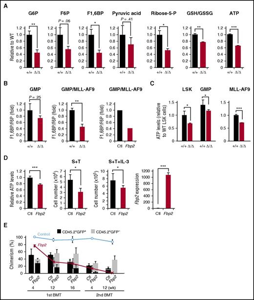 Figure 6. Metabolic homeostasis is impaired in Setdb1-deficient HSPCs. (A) Results of metabolome analyses of GMPs freshly isolated from Setdb1Δ/Δ mice 2 weeks after the first injection of tamoxifen. Relative values (WT values were set as 1) are shown as the mean ± SD (glucose 6-phosphate, F6P, F1,6BP, n = 4-6; pyruvic acid, n = 2; ribose-5-P, reduced glutathione/oxidized glutathione, n = 3; ATP, n = 9). (B) F1,6BP levels relative to F6P in GMPs (n = 4), MLL-AF9-transformed GMPs 48 hours after the tamoxifen treatment (n = 3), and MLL-AF9-transformed GMPs overexpressing Fbp2 (n = 1). (C) ATP levels in LSK cells and GMPs freshly isolated from Setdb1Δ/Δ mice 2 weeks after the first injection of tamoxifen and MLL-AF9-transformed GMPs 48 hours after the tamoxifen treatment. Data are shown as the mean ± SD (n = 3). (D) ATP levels in LSK cells transduced with an Fbp2 retrovirus in culture (left) and their growth in culture supplemented with SCF (10 ng/mL) and thrombopoietin (10 ng/mL) without or with IL-3 (10 ng/mL). mRNA levels of exogenous Setdb1 in LSK cells detected by RT-PCR were normalized to Hprt1 expression. (Right) Relative expression levels. Data are shown as the mean ± SD (n = 3). (E) Repopulating capacity of Fbp2-overexpressing HSCs in vivo. Fifty CD45.2 CD34−LSK HSCs were transduced either with a control or Fbp2 retrovirus, and then transplanted into lethally irradiated CD45.1 mice (n = 6) with 2 × 105 CD45.1 competitor cells. The chimerism of CD45.2+GFP+ cells derived from transduced HSCs as well as CD45.2+GFP− cells derived from nontransduced HSCs was monitored. At 16 weeks after primary transplantation, all BM cells from recipients were pooled and 1 × 107 cells were infused into the secondary recipients. The proportions of GFP+ cells in donor-derived cells are plotted in blue (control) and red (Fbp2) lines. *P < .05; **P < .01; ***P < .001.