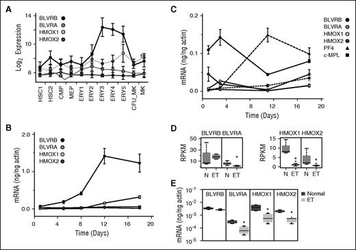 Figure 3. Heme degradation pathway characterization during E/Meg development. (A) E/Meg-restricted expression of the heme degradation pathway genes using in silico data.21 A log2 signal intensity <6 is considered background expression. Cell lineage abbreviations are provided in supplemental Table 2. (B-C) Expression patterns of heme degradation pathway genes were quantified by qPCR using human CD34+ cells differentiated along (B) erythroid (Epo) or (C) megakaryocytic (Tpo) lineages; Tpo-directed cultures include Platelet Factor 4 (PF4) and c-MPL transcripts as lineage markers. All results are expressed as actin-normalized means ± standard error of the mean (SEM) from triplicate experiments. (D-E) RNA levels (normalized reads per kilobase of transcript per million reads) of heme degradation pathway genes from (D) ET (N = 7) and normal (N = 5) platelets or as (E) quantified by qPCR (ET, N = 5; normal, N = 5); *P < .05.