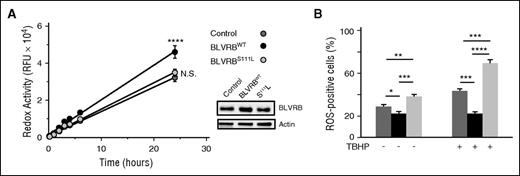 Figure 5. Differential patterns of ROS handling in genetically modified CD34+ iPS cells. (A) Genetically modified CD34+ NCRM1 iPSCs (1 × 104 cells per well) were loaded with 0.1 (v/v) resazurin for time-dependent spectrofluorimetric detection (530-nm excitation, 590-nm emission) of reduced resorufin as a quantitation of cellular redox coupling; data expressed as mean ± SEM of relative fluorescent units (N = 6); cellular BLVRB expression is shown, 20 μg lysates/lane; ****P < .0001. (B) Genetically modified NCRM1 iPSCs (1 × 105/mL) were treated (or not) with 200 μM TBHP for 1 hour at 37°C, followed by flow cytometric quantification of ROS-expressing cells after a 60-minute loading with cell-permeable 500 nM CellROX green as indicator (N = 6); *P < .05; **P < .01; ***P < .001; ****P < .0001.