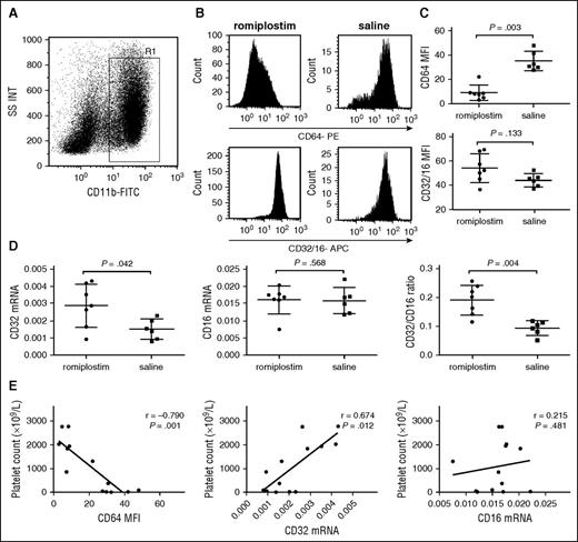 Figure 5. In vivo regulation of FcγR profile on monocytes/macrophages by romiplostim in ITP mice. (A) Representative scattergrams of surface expression of CD11b+ splenic macrophages from an ITP mouse. R1 represented CD11b+ macrophages. (B) Representative histogram of mean fluorescence intensity (MFI) of FcγRI/CD64 and FcγRII/III/CD32/16 of splenic macrophages from 2 mice with romiplostim therapy and saline, respectively. (C) MFI of FcγRI/CD64 and FcγRII/III/CD32/16 on splenic macrophages with eltrombopag treatment or saline in ITP mice. (D) The mRNA levels of FcγRII/CD32 and FcγRIII/CD16 on splenic macrophages with eltrombopag treatment and saline in ITP mice. (E) Correlative analysis of the expressions of FcγRs and platelet counts. The differences between the 2 groups were determined by Mann-Whitney U tests. Correlative analysis was determined by nonparametric Spearman correlation.
