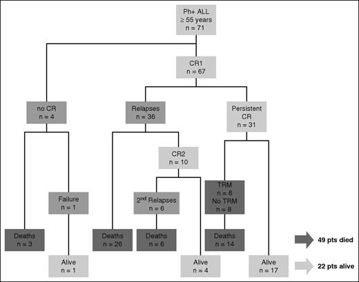Figure 2. Consort diagram. CR1, complete remission 1; CR2, complete remission 2; TRM, treatment-related mortality; pts, patients.
