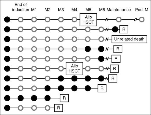 Figure 7. Follow-up of 10 patients positive for BCR-ABL1T315I by ASO PCR at inclusion. A systematic screening for presence of the T315I mutation at diagnosis was performed by ASO qRT-PCR in 43 patients and the T315I mutation was detected in 10 of them (23%). The kinetic of detection of the T315I mutation before relapse is indicated. Solid black circle, BCR-ABL1T315I detected by ASO PCR; open gray circle, BCR-ABL1T315I not detected by ASO PCR during follow-up. Allo, allogeneic; Post M, postmaintenance; R, relapse associated with BCR-ABL1T315I detected by ASO PCR and Sanger sequencing.