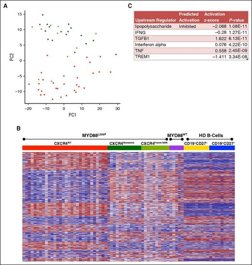 Figure 2. Role of CXCR4WHIM mutations in MYD88L265P-mutated WM. (A) PCA of the top 500 high variance genes within the WM patient samples using the first 2 principal components. WM patients with the MYD88L265PCXCR4WT genotype are shown in red; patients mutated for MYD88 with CXCR4 nonsense (NS) or frameshift (FS) mutations are shown in dark and light green, respectively; and patients with MYD88WTCXCR4WT are shown in purple. (B) Heat map of the 3103 genes differentially expressed between the MYD88L265PCXCR4WT and MYD88L265PCXCR4WHIM genotyped samples. Gene order was determined using hierarchical clustering of MYD88L265PCXCR4WT and MYD88L265PCXCR4WHIM expression data whereas the samples where arranged by genotype. Expression data for MYD88WTCXCR4WT WM and healthy donor B-cell samples were added to the heat map for comparison with intact clustered gene order. (C) Top predicted upstream targets of the differentially expressed genes from Ingenuity Pathway Analysis.