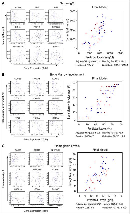 Figure 3. Random forest analysis of gene expression identifies genes predictive of important clinical features in WM patients. Gene expression from the first 37 WM samples were analyzed for their utility in predicting serum IgM (A), BM disease involvement (B), and hemoglobin (C) levels using a random forest analysis. Of the statistically significant genes, the top 9 genes from each group deemed the most biologically relevant are shown as single variable correlates and incorporated into a final linear model using the full data set to demonstrate their predictive utility. The final 20 samples withheld for validation are shown in red and the root mean squared error (RMSE) of the final model for both the training and validation subsets is shown. P values have been adjusted for multiple hypotheses testing using the Benjamini-Hochberg FDR.