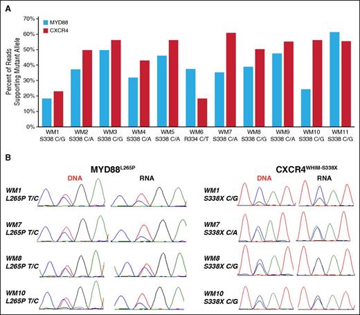 Figure 4. Mutant allele fraction analysis for MYD88 and CXCR4 in concurrent DNA and RNA WM patient samples. (A) Percentage of reads supporting the mutant allele of MYD88 and CXCR4 for 11 patients with MYD88L265P and nonsense (NS) CXCR4WHIM mutations. Median coverage of the affected nucleotide was 193 (range, 38-456) reads for MYD88 and 11 760 (range, 3318-15 883) reads for CXCR4. The amino acid location and nucleotide change for the CXCR4WHIM-NS mutation is listed for each patient sample. (B) Sanger sequencing of paired DNA and cDNA validated the mutant allele fraction for CXCR4 and MYD88 at the RNA and DNA levels.