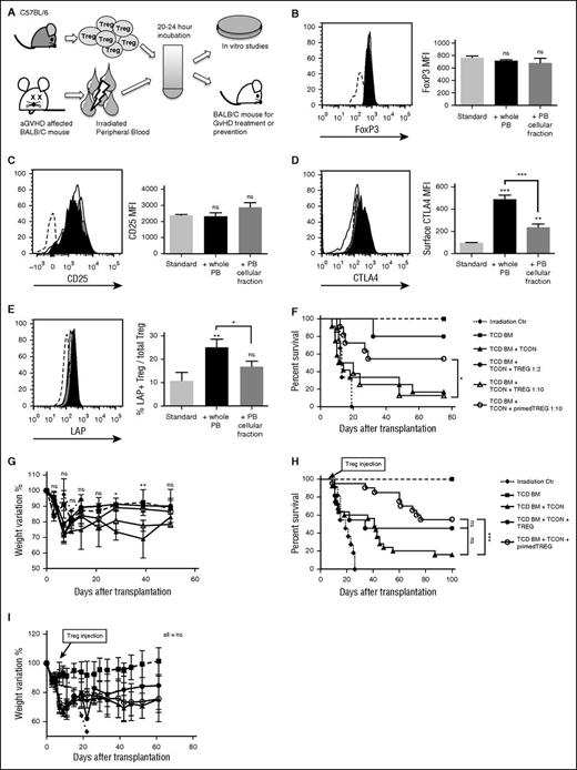 Figure 1. Exposure to PB of GVHD-affected animals induces Treg activation and enhances Treg in vivo function. (A) Experimental scheme. PB from BALB/c mice affected by aGVHD was harvested at day +6 after hematopoietic cell transplantation and incubated with allogeneic Tregs obtained from healthy C57BL/6 animals. After 20 to 24 hours of culture, Tregs were washed and used for in vitro or in vivo experiments. (B-E) Graphs that report expression in gated CD4+FoxP3+ Tregs of intracellular FoxP3 (B), surface CD25 (C), surface CTLA4 (D), and TGF-β (measured through the surface expression of TGF-β LAP) (E) are shown. Unprimed Tregs (cultured with standard culture conditions only) are shown in white, Tregs primed with irradiated aGVHD PB in black, and Tregs primed with only the cellular fraction of irradiated aGVHD PB in gray. Sample staining histograms are also reported where unprimed Tregs stained with isotype control antibody (dashed line), unprimed Tregs (white), PB-primed Tregs (black), and PB cellular fraction-primed Tregs (gray) are shown. Data are representative of 1 of 3 independent experiments. Statistical analysis has been performed with 2-tailed Student t test. (F-G) C57BL/6 allogeneic aGVHD PB-primed Tregs were injected in a mouse model of GVHD, together with TCD-BM and Tcons from C57BL/6 allogeneic donor mice at day 0 into lethally irradiated BALB/c recipients. Survival (F) and percentage of weight recovery (G) after transplantation of mice that received only lethal irradiation (dotted line, ), mice that received TCD-BM (dashed line, ), mice that received TCD-BM + Tcons (), mice that received TCD-BM + Tcons + unprimed Tregs at the Treg:Tcon ratio of 1:2 (), mice that received TCD-BM + Tcons + unprimed Tregs at the Treg:Tcon ratio of 1:10 (), and mice that received TCD-BM + Tcons + aGVHD PB-primed Tregs at the Treg:Tcon ratio of 1:10 () are reported. Shown data are the results of 2 pooled independent experiments. (H-I) C57BL/6 allogeneic aGVHD PB-primed Tregs were injected in a mouse model of GVHD 6 to 7 days after injection of C57BL/6 allogeneic TCD-BM and luc+ Tcons into lethally irradiated BALB/c recipients that showed clear signs and symptoms of aGVHD with a minimum GVHD score of 4, and had Tcon proliferation in vivo analyzed by BLI. The Treg:Tcon ratio used was 1:2. Survival (H) and percentage of weight recovery (I) after transplantation are reported of mice that received only lethal irradiation (dotted line, ), mice that received TCD-BM (dashed line, ), mice that received TCD-BM + Tcons (), mice that received TCD-BM + Tcons + unprimed Tregs (), and mice that received TCD-BM + Tcons + aGVHD PB-primed Tregs (). Reported data are the result of 4 pooled independent experiments. In survival experiments statistical analysis has been performed with the Log-rank test, whereas weight variations were assessed by 2-way ANOVA test. *P < .05; **P < .01; ***P < .001. ANOVA, analysis of variance; BLI, bioluminescent imaging; LAP, latency associated peptide; MFI, mean fluorescence intensity; ns, not significant.