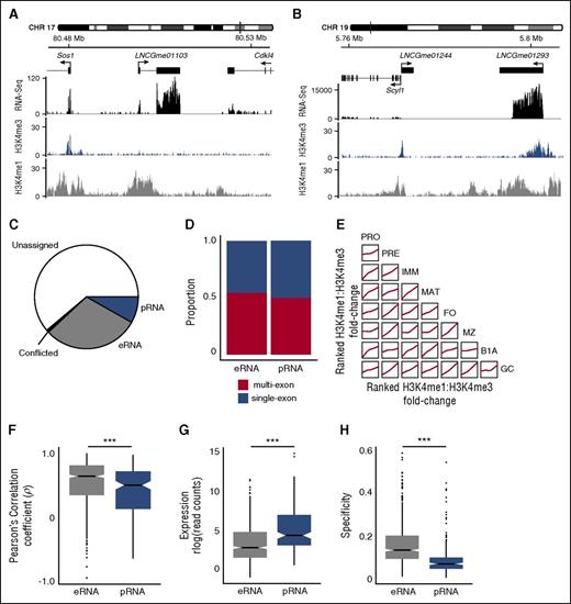 Figure 2. Identification of intergenic lncRNAs with enhancerlike and promoterlike characteristics. Examples of intergenic lncRNA loci with chromatin signatures in marginal zone B cells that are characteristic of (A) eRNA loci (LNCGme01103) and (B) pRNA loci (LNCGme01293). The former are distinguished by high H3K4me1 read coverage across the TSS and the absence of a corresponding H3K4me3 peak. The latter are distinguished by high H3K4me3 coverage, the presence of which excludes H3K4me1 from the TSS. (B) Also shown is a second lncRNA (LNCGme01244) that arises as a result of bidirectional transcription from the Scyl1 promoter, but this is not classified as an eRNA or pRNA because its proximity to a coding gene. CHR, chromosome. (C) The proportion of the 2349 intergenic lncRNAs identified in this study that could be classified as either eRNAs or pRNAs on the basis of their chromatin state. Remaining lncRNAs are either classified as unassigned (insufficient read coverage/fold-change to determine chromatin state) or conflicted (classified as eRNA in 1 B-cell stage and pRNA in another). (D) The proportion of eRNA and pRNA loci that are classified as multiexon or single exon. (E) Pairwise comparisons showing the consistency of chromatin signatures across B-cell populations. Within each B-cell population, intergenic lncRNAs are ranked on the ratio of H3K4me1:H3K4me3 coverage across their TSS. Individual plots show the local regression (loess) of rank order between 2 B-cell populations. (F) Distribution of the Pearson’s correlation coefficient between the expression of an eRNA or pRNA and expression of the more highly correlated of either its nearest upstream or downstream protein-coding gene. (G) Distribution of median expression values (rlog-transformed read counts) calculated across all cell stages. (H) Distribution of cell stage specificity of expression of eRNAs and pRNAs. ***Mann-Whitney U test: p < .0001.