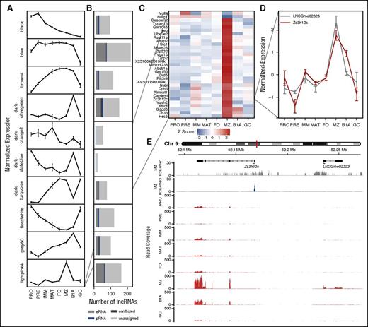 Figure 4. Association between lncRNAs and protein-coding genes based on correlation of expression across B-cell development. (A) WGCNA identifies clusters of protein-coding genes with comparable expression profiles across B-cell development: plots show a representative expression profile (eigengene) for each of 10 protein-coding gene clusters. (B) Stacked bar charts showing the number of lncRNAs whose expression is strongly correlated (|ρ| > 0.8) with the adjacent eigengene. Colors depict lncRNA classification on the basis of chromatin state. (Results are shown for WGCNA clusters with >10 associated lncRNAs.) (C) Heat map showing the normalized expression of cluster lightpink4 containing 31 protein-coding genes identified as upregulated or downregulated in marginal zone B cells. (D) The normalized expression profile of a single gene (Zc3h12c) from this cluster identified as upregulated in marginal zone B cells and a single eRNA (LNCGme02323) identified as strongly correlated with the respective WGCNA cluster. (E) Genome plots showing the location of Zc3h12c and LNCGme02323 as well as H3K4me1 and H3K4me3 chromatin signatures in marginal zone B cells and RNA-seq read coverage in all 8 B-cell populations considered in this study.