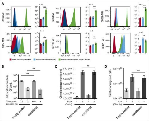 Figure 2. Conditioned neutrophil stimulation and antibacterial functions are similar to blood circulating neutrophils. (A) Neutrophil cell-surface markers were quantified on circulating and conditioned neutrophils, either naïve or infected by S. flexneri (MOI 20, 30 minutes). The following cell-surface markers were quantified by flow cytometry: CD35 (C3bR), CD63 (primary granule), CD66b (secondary granules), CD54 (ICAM-1), CD196 (CCR6), and CD62L (l-selectin). Results are expressed as a mean of fluorescence intensity (MFI) calculated on the whole neutrophil population. “ns” indicates P > .05; *P < .05; ***P < .001 (n = 5). (B) S. flexneri phagocytosis and killing efficiencies were assessed with freshly purified or conditioned (20 hours) neutrophils, at MOI 20 during respectively 30 minutes (phagocytosis) and 180 minutes (killing) at 37°C. Intracellular bacteria were counted by plating after gentamycin treatment. Error bars indicate SD. “ns” indicates P > .05 (n = 3). (C) PMA-induced ROS production was assessed by chemoluminescence changes (cpm) on freshly purified and conditioned neutrophils incubated with luminol (10 μM) and stimulated with PMA (200 ng/ml) for 5 minutes. “ns” indicates P > .05 (n = 5). (D) Freshly purified and conditioned neutrophil chemotaxis properties were assessed using Transwells. Neutrophils (2 × 105) were loaded in the upper chamber, and IL-8 (20 nM) was added in the lower buffer. Migrated neutrophils were counted in the lower chamber after 1 hour incubation at 37°C. “ns” indicates P > .05 (n = 5).