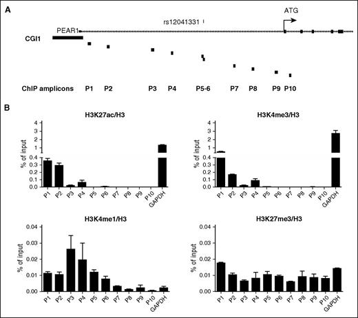Figure 2. Histone modifications profiling of PEAR1 intron 1 region via ChIP. (A) Graphical representation of PEAR1 intron 1 region. Primers were randomly selected to cover the full intronic region, including rs12041331 (amplicons P5 and P6 in correspondence of rs12041331 indicated above the gene line) and are depicted as black boxes. (B) Levels of CHRF PEAR1 intron 1 (P1-P10) and GAPDH amplicons immunoprecipitated using H3K27me3, H3K4me3, H3K27ac, and H3K4me1 antibodies were measured following PCR amplification of DNA fragments. Signals from immunoglobulin G control antibody used for each ChIP were subtracted from each of the histone modification immunoprecipitation signals and the fold enrichment ratios of ChIP enriched vs total input DNA were represented (n = 4 for each histone, average ± standard error of the mean).