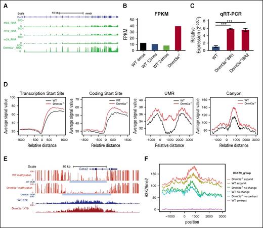 Figure 1. Dnmt3a−/− HSCs are characterized by increased Dot1l expression and increased H3K79 methylation. (A) RNA-seq signal density tracks of messenger RNA expression of Dot1l in murine Dnmt3a−/− HSCs purified as Hoechst side population-KSL and CD150+. Dnmt3a−/− HSCs were purified after Mx-Cre–mediated deletion and serial transplantation as have previously reported9,27 compared with HSCs from WT HSCs from 4-, 12-, and 24-month-old mice (m04_RNA, m12_RNA, and m24_RNA, respectively). (B) Average FPKM (fragments per kilobase of transcript per million mapped reads) value of Dot1L in WT vs Dnmt3a−/− HSCs (2 independently obtained biological replicates of each cohort represented). mos, months. (C) Dot1l expression determined by qRT-PCR relative to glyceraldehyde-3-phosphate dehydrogenase expression in WT HSCs (12 months of age) compared with 2 biologic replicates of Dnmt3a−/− HSCs purified after Mx-Cre–mediated deletion and serial transplantation (calculated by 2-ΔΔCt equation). Assay performed in triplicate. Error bars represent standard deviation. (D) ChIP-seq of H3K79me2 of Dnmt3afl/fl-Rosa26-Cre-ERT2 and Dnmt3awt/wt-Rosa26-Cre-ERT2 HSCs isolated from primarily transplanted mice after tamoxifen-induced deletion. Average normalized signal density of H3K79me2 at transcription start sites, protein coding start sites, undermethylated regions (UMR) and DNA methylation canyons in Dnmt3a−/− HSCs (red) and WT HSCs (black). (D) Representative DNA methylation canyon that expands with Dnmt3a deletion (DNA methylation, red; canyon extend, gray) and associated H3K79me2 in WT HSCs (blue) and Dnmt3a−/− HSCs (dark red). (E) Average normalized H3K79me2 signal at DNA methylation canyons that expand with Dnmt3a deletion (Dnmt3a−/− expand, red; WT expand, gold), canyons that do not change with Dnmt3a deletion (Dnmt3a−/− no change, green; WT no change, teal), and canyons that contract with Dnmt3a deletion (Dnmt3a−/− contract, blue; WT contract, purple). P value was determined using unpaired 2-way Student t test. ***P < .001.