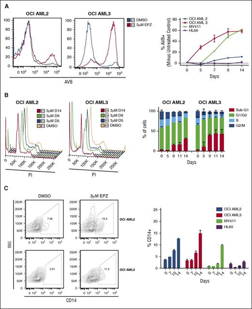 Figure 4. EPZ004777 treatment induces apoptosis, cell-cycle arrest, and terminal differentiation in DNMT3A-mutant human AML cells. HL60, MV411, OCI AML2, and OCI AML3 cells were treated with 3 μM EPZ004777 or DMSO vehicle control for 14 days. Cells were replated at a constant concentration in fresh drug-containing media every 2 to 3 days. (A) Representative flow cytometry histograms of AVB for OCI AML2 and OCI AML3 cells on day 14 of treatment with DMSO vehicle control (blue) or EPZ004777 (red) (left). Quantification of % of EPZ004777-treated cells that are AVB+ minus % AVB+ vehicle control–treated cells (right). (B) Representative flow cytometry plots of propidium iodide (PI) DNA content cell-cycle analysis for OCI AML2 cells and OCI AML3 cells (left) with quantification of experiments (right) (C) Representative flow plots of CD14 cell surface expression of OCI AML 2 and OCI AML 3 cells treated with DMSO vehicle control or EPZ004777 for 14 days after gating out PI+ dead cells (left) and quantification of percentage of CD14+ cells treated with 3 μM EPZ004777 or vehicle control at specified time points (right). All assays were done in triplicate. Error bars represent standard deviation. SSC, side scatter.