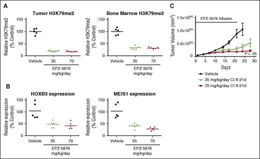 Figure 6. In vivo efficacy of pharmacologic DOT1L inhibition in a rat xenograft model of DNMT3A-mutant AML. (A) H3K79me2 levels in acid-extracted histones as measured by enzyme-linked immunosorbent assay in OCI AML3 subcutaneous tumors and bone marrow from vehicle control–treated animals or animals treated with 35 or 70 mg/kg per day EPZ-5676 administered via continuous IV infusion. H3K79me2 levels were normalized to those of total histone H3 in the same sample and are plotted as a percent of the mean H3K79me2 level in tissue from the vehicle-treated group, which is set at 100%. Horizontal lines represent the mean percent H3K79me2 values for each group (N = 5 animals per cohort). (B) Relative expression of MEIS1 and HOXB3 in OCI AML3 subcutaneous tumors in vehicle control–treated mice and mice treated with 35 or 70 mg/kg per day EPZ-5676 for 21 days plotted as a percent of the mean transcript level in tumors from the vehicle-treated group, which is set at 100%. Horizontal lines represent the mean percent transcript level in each group (N = 5 animals per cohort). (C) Volume of OCI AML3 subcutaneous tumors over time in vehicle control–treated animals and animals treated with 35 or 70 mg/kg per day EPZ-5676 administered via continuous IV infusion for 21 days (N = 8 animals per cohort). Error bars represent standard deviation. CI, continuous infusion.