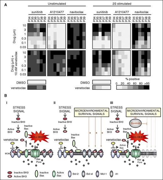 Figure 7. Resistance in 2S-stimulated cells is mainly mediated by Bcl-xl. (A) Dose-response heatmap of total cytotoxicity expressed as percentage-positive cells for cell death induced by sunitinib, A1210477, and navitoclax as single agents (top panels) and in combination with venetoclax (10 nM) (bottom panels) in unstimulated and 2S-stimulated cells from 6 patients. Drug response was determined by multiparametric analysis as described in Figure 2. The shade indicates the mean for all the cells in 8 micrographs for each condition according to the grayscale bar shown below. Columns are individual patient samples and rows are drug concentrations. Cell death (percentage positive) in negative control (DMSO) and for venetoclax (10 nM) as a single agent are shown as bars below the heatmaps. (B) Model illustrating potential cellular responses to venetoclax and sunitinib. (i) Apoptotic response of unstimulated CLL cells treated with venetoclax. Bcl-2 family proteins control cell death by regulating the permeabilization of the mitochondrial outer membrane (MOM) through a series of competitive binding interactions among themselves. For illustrative purposes, inhibition of BH3 proteins (mode 2) is shown although the process is predicted to be similar for activated Bax bound to and inhibited by antiapoptotic proteins (mode 1). Upon receiving an apoptotic stress signal, inactive proapoptotic BH3 proteins (red) are activated (red and white) and migrate to mitochondria where they are either bound by 1 of the antiapoptotic proteins (Bcl-2, Bcl-xl, Mcl-1, or A1) or trigger apoptosis by binding to inactive Bax (light green) and activating it at the membrane (dark green). Activated Bax oligomerizes and permeabilizes the MOM, enabling release of proapoptotic proteins including cytochrome c, endonuclease G, and Smac (orange circles) from the mitochondrial intermembrane space into the cytoplasm to activate the effector caspases that execute the cell. Venetoclax (yellow) binds Bcl-2 displacing an activator BH3 protein, allowing the downstream activation of Bax, permeabilization of MOM, and cell death. (ii) Apoptotic response of CLL cells stimulated by microenvironment. Microenvironmental survival signals increase expression of the antiapoptotic Bcl-2 family members Bcl-xl, Mcl-1, and A1 that are not targeted by venetoclax and/or the downregulation of the proapoptotic protein Bax. The excess antiapoptotic proteins bind active BH3 proteins displaced from Bcl-2 by venetoclax preventing them from activating Bax thereby inhibiting apoptosis. (iii) Sunitinib turns off microenvironmental prosurvival signals preventing increased expression of the antiapoptotic proteins other than Bcl-2 and thereby restoring sensitivity to venetoclax.