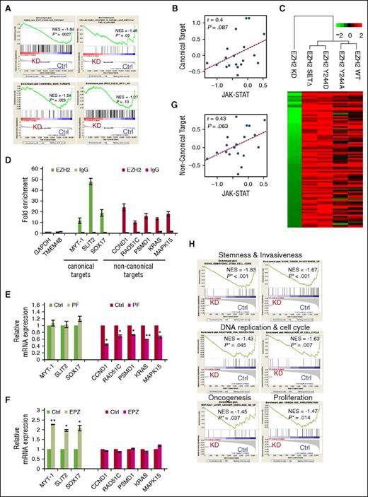 Figure 3. Phosphorylation of EZH2 by JAK3 is inhibitory for PRC2-mediated gene repression but required for gene activation toward proliferation. (A) GSEA plots show gene sets enriched among downregulated genes upon JAK3 knockdown. The 4 gene sets are described in Molecular Signatures Database: JAK-STAT signaling pathway; Genes bearing the H3K27me3 mark; Putative targets of EZH2 as an epigenetic silencer; Genes upregulated upon knockdown of SUZ12. (B) Correlation plot between the JAK-STAT gene signature and PRC2 canonical target gene signature indices in a dataset of NKTL patient samples (GSE80632). Each dot is a patient sample. Correlation coefficient and correlation test P value are also shown. (C) Hierarchical clustering of gene expression profiles of EZH2 KD, EZH2 WT, and it mutants (Y244A, Y244D, and SET∆) based on global profiling (GSE75680). Heat map shows expression profiles of noncanonical targets cross EZH2 KD, EZH2 WT, and its mutants (Y244A, Y244D, and SET∆) compared with their corresponding controls. (D) ChIP-qPCR assay in NKYS cells for endogenous EZH2 binding. RT-PCR was performed with immunoprecipitated chromatin fragments obtained by using an anti-EZH2 antibody or an irrelevant antibody (immunoglobulin G, IgG) as a control. (E) qRT-PCR analysis showing that JAK3 inhibitor PF decreased expression of noncanonical targets of EZH2. n = 4 independent experiments, means ± SD. *P < .05; **P < .01 (Student t test). (F) qRT-PCR analysis showing that gene expression of EZH2 noncanonical targets was not affected by PRC2 inhibitor EPZ-6438 (EPZ). The RNA harvested from NKYS cells exposed to EPZ at 200 nM was isolated, reverse-transcribed, subjected to qPCR by using primers as indicated, and normalized with glyceraldehyde-3-phosphate dehydrogenase (GAPDH). n = 5 independent experiments. Results are means ± SD. *P < .05; **P < .01 (Student t test). (G) Correlation plot between the JAK-STAT gene signature and EZH2 noncanonical target gene signature indices in a dataset of NKTL patient samples (GSE80632). Each dot is a patient sample, and no cell line is presented. Correlation coefficient and correlation test P value are also shown. (H) GSEA plots of significantly enriched gene sets show the regulation of oncogenesis-related genes and pathways by EZH2 noncanonical function. KD, EZH2 knockdown; NES, normalized enrichment score.
