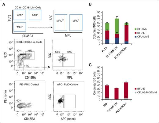 Figure 3. Improvement in MEP purification by combining FLT3 and MPL selection. (A) Schematic of FACS gating for further purifying FLT3− MPB cells into MPLhi and MPLlo/− fractions. Representative flow plots with associated FMO controls used to gate for positive and negative populations. (B) Results of dual Mk/E assay showing average colony counts per 100 seeded cells from 3 experiments. The FLT3-MPLhi population has the highest Mk/E potential (blue). (C) Methylcellulose assay results showing average CFU-G/M + CFU-GEMM (gray) and BFU-E (red) colony counts per 100 seeded cells for different subpopulations. CFU-G/M + CFU-GEMM (gray) colonies likely arise from CMP contamination in the sorted MEP-enriched population. The FLT3−MPLhi population has the lowest G/M contamination (P = .02 in comparison with FLT3− population).