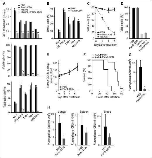 Figure 6. Pam2-ODN protects against pneumonia in the presence of human AML. (A) Viability of human AML cell lines 72 hours after the indicated treatments, assessed by XTT conversion (top), trypan blue exclusion (middle), and hemacytometer counts (bottom). (B) Influence of Pam2-ODN on BrdU staining in human AML cell lines. (C) Trypan blue exclusion of primary human AML cells following the indicated treatments. (D) Trypan blue exclusion of primary human AML cells 72 hours after the indicated treatments. (E) Circulating human AML cells in engrafted NSG mice following treatment with Pam2-ODN or PBS. (F) Survival of primary human AML-engrafted NSG mice after P. aeruginosa infection (10 mL of 9 × 109 CFU/mL) following treatment with Pam2-ODN or PBS. (G) Bacterial burdens of lungs harvested immediately after infection in F. (H) Bacterial burdens of the indicated organs at the time of death of mice from F. *P < .05 vs PBS treated, **P < .005 vs PBS treated.