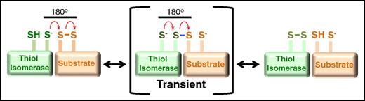 Figure 2. Mechanism of oxidoreductive cleavage by thiol isomerases. The reduced thiol isomerase aligns with a substrate that contains a disulfide bond such that the free thiolate forms an 180° angle with the vector of the disulfide. A second-order nucleophilic substitution SN2-type reaction then occurs in which the active site sulfur ion nucleophile of the thiol isomerase attacks the adjacent sulfur atoms of the disulfide bond.74 This nucleophilic substitution results in a transient mixed disulfide (blue). The mixed disulfide spontaneously decomposes, resulting in the formation of a disulfide bond in the thiol isomerase and reduction of the disulfide bond in the substrate.