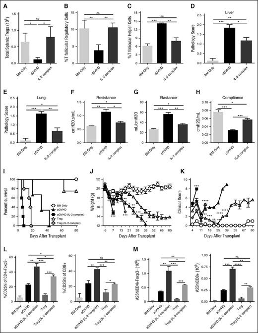 Figure 1. IL-2/mAb complexes treat cGVHD but exacerbate aGVHD. (A-F) B10.BR mice were transplanted with either T-cell–depleted (TCD), B6 BM (BM Only), or B6 TCD BM with purified B6 Tcon to establish cGVHD. Mice given BM with Tcon were treated with 200 µL of phosphate-buffered saline (PBS) (cGVHD), or with 200 µL of IL-2/mAb complexes (0.5 µg IL-2/25 µg JES6-1 anti-IL-2 mAb) in PBS from days 28-56 after transplant. (A) Total number of splenic Tregs were measured on day 56 after transplant and found to be significantly higher in mice given IL-2/mAb complexes vs cGVHD mice. (B-C) Frequency of Tfr (CD4+Foxp3+PD1hiCXCR5hi) and Tfh (CD4+Foxp3-PD1hiCXCR5hi) out of total splenic CD4+ T cells were measured by flow cytometry on day 56 after transplant. (B) Tfr were found in a higher frequency, but (C) Tfh at a lower frequency in mice given IL-2/mAb complexes. (D-E) Histopathology scoring of the (D) liver and (E) lung based on H&E-stained cryopreserved sections of organs harvested on day 56 after transplant. Scores show reduced pathology in mice given IL-2/mAb complexes vs cGVHD. (F-H) Pulmonary function tests (PFTs) assessing (F) airway resistance, (G) total lung elastance, and (H) total lung compliance were performed on day 56 after transplant. PFTs demonstrate partial reversal of PFTs characteristic of cGVHD-associated BOS in mice given IL-2/mAb complexes. (A-F) Representative data from 2 independent experiments; n = 8-10 mice/group/experiment. Bar graphs show mean ± standard error of the mean (SEM). Multiple comparisons made using one-way ANOVA with Tukey’s posttest. Significance: *P < .05; **P < .01; ***P < .001; ****P < .0001. (I-M) BALB/c mice were transplanted with B6 BM (BM Only), BM with purified B6 Tcon (aGVHD), or BM, Tcon, and B6 Tregs (Tregs) on day 0. Groups were given 200 µL of PBS or 200 µL of IL-2/mAb complexes (0.5 µg IL-2/25 µg JES6-1 anti-IL-2 mAb) in PBS from days 0-3 after transplant. (I) Survival of recipient mice shows increased mortality rate in groups given IL-2/mAb complexes: aGVHD vs aGVHD/IL-2 complex (*); Tregs vs Tregs/IL-2 complex (***); aGVHD/IL-2 complex vs Tregs/IL-2 complex (*); aGVHD vs Tregs (**). (J) Recipient body weights show sharp declines for aGVHD/IL-2 complex group from days 3-7, and Treg/IL-2 complex group from days 13-17. Comparisons on graph: day 7: aGVHD vs aGVHD/IL-2 complex (***); day 17: Treg vs Treg/IL-2 complex (***); days 17-38: Treg vs aGVHD. (K) Clinical GVHD scores show sharp increases for aGVHD/IL-2 complex group from days 4-7, and for Treg/IL-2 complex group from days 11-14. Comparisons on graph: day 7: aGVHD vs aGVHD/IL-2 complex (****); day 17: Treg vs Treg/IL-2 complex (****); days 14-39: Treg vs aGVHD. (L-M) Flow cytometry analysis of splenic T cells on day 5 after transplant revealed a higher (L) frequency and greater (M) numbers of CD25hiCD4+Foxp3- and CD25hiCD8+Tcon in mice given IL-2 mAb complexes, compared with untreated groups. Survival differences analyzed by log-rank test. Bar graphs show mean ± SEM. Multiple comparisons made using one-way ANOVA with Tukey’s posttest. (I-M) Representative data from 3 independent experiments; n = 5-8 mice/group/experiment. Significance: *P < .05; **P < .01; ***P < .001; ****P < .0001.