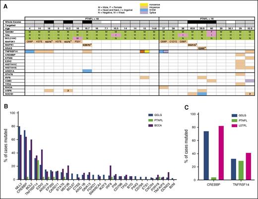 Figure 2. Mutational profile of PTNFL. (A) Mutational profile of PTNFL. The table includes genes with somatic nonsynonymous variants identified in >2 cases by targeted and WES of PTNFL samples. A known gain-of-function mutation in RHOA is also included. Top rows delineate whether whole exome (black, initial 6 exomes; gray, subsequent exomes; white, indicates not sequenced) or targeted sequencing was performed. Amino acid substitutions are indicated for MAPK pathway alterations. MAPK variants identified in samples with paired sequencing are delineated by bold text. The number “2” indicates multiple missense variants. (B) Comparison of mutation frequencies among PTNFLs and 2 cohorts of advanced stage FL (GSLG and BCCA). The differences in mutational frequencies between PTNFL vs GSLG, and PTNFL vs BCCA were statistically significant for KMT2D (P < 10−6, P < 10−5), CREBBP (P < 10−5, P < 10−6), BCL2 (P < 10−5, P < 10−6), and EZH2 (P = .05, P < 10−4). (C) Mutational frequencies of CREBBP and TNFRSF14 in PTNFL vs LSTFL. CREBBP mutations were present in 83% of LSTFLs vs 4% of PTNFL (P < 10−6). TNFRSF14 mutations were present in 29% of PTNFLs vs 41% of LSTFLs (P = .35).