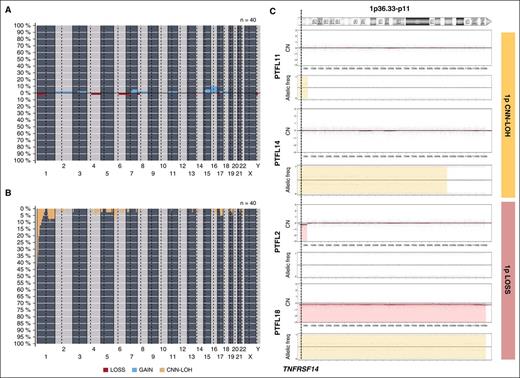 Figure 2. Copy-number and CNN-LOH alterations in PTFL. Frequency of (A) copy number (CN) and (B) CNN-LOH alterations of 40 PTFL analyzed by Oncoscan Copy number molecular inversion probe assay. Each probe is aligned from chromosome 1 to Y and p to q. The vertical axis indicates frequency of the genomic aberration among the analyzed cases. Gains are depicted in blue, losses are depicted in red, and regions of CNN-LOH are represented in yellow. (C) Different patterns of 1p CNN-LOH and loss in 4 cases of PTFL. In the first panel for each case, CN calls are represented. In the second panel, allelic events are displayed along the x-axis. Germ-line homozygosity is given in calls at the 0 and 1 levels, respectively, whereas germ-line heterozygosity is given in calls around 0.5. CNN-LOH in the tumor leads to loss of calls around 0.5 and to the presence of allelic imbalance calls derived from a sum of heterozygous normal cell and homozygous tumor cell calls for a given locus, resulting in values between 0 and 0.5 or 0.5 and 1 depending on the percentage of cells carrying the alteration.