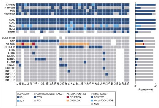 Figure 3. Overview of clinical and histological findings, copy number (Oncoscan) and NGS results in 42 PTFL cases. Each column of the heat map represents 1 PTFL case and each line 1 specific analysis. On the right side of the figure, the frequency of the particular result of the analysis is shown.