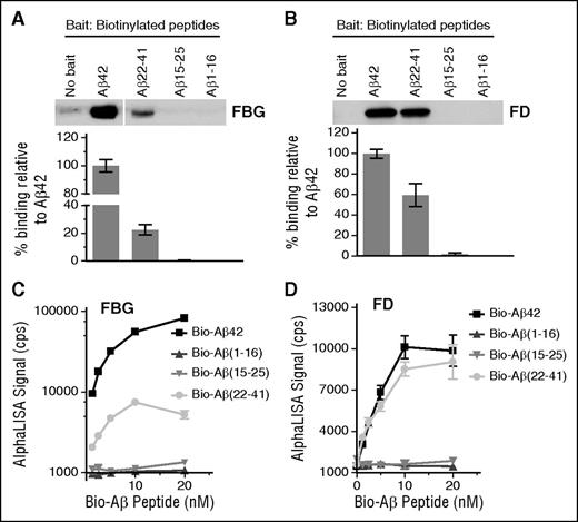 Figure 1. Aβ22-41 binds to fibrinogen and fragment D. (A-B) Biotin-labeled Aβ42, Aβ1-16, Aβ15-25, and Aβ22-41 were incubated with fibrinogen (FBG) or fragment D (FD), and pulldown assays were carried out using streptavidin-coated magnetic beads. All samples were analyzed by western blot in unreduced condition using an anti-fibrinogen antibody. Only Aβ22-41 showed binding to both fibrinogen (A) and fragment D (B). When no Aβ peptides were added, the level of bound fibrinogen or fragment D was negligible. Images and graphs are representative of 4 experiments. (C-D) The binding between biotin-labeled Aβ42 or Aβ fragments with fibrinogen or fragment D was determined by AlphaLISA (n = 3). Controls and other lanes in panel A are from the same gel with some lanes omitted for clarity. Results presented in graphs are mean ± standard error of the mean (SEM).