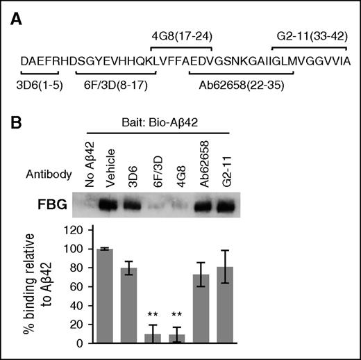 Figure 3. Specific antibodies against the central region of Aβ block the Aβ-fibrinogen interaction. (A) The epitopes for several antibodies against Aβ are illustrated in the schematic and include epitopes 1 to 5 (3D6; Elan), 8 to 17 (6F/3D; Dako), 17 to 24 (4G8; Covance), 22 to 35 (ab62658; Abcam), and 33 to 42 (G2-11; Abcam). (B) Antibodies at concentrations listed in “Methods” were incubated with fibrinogen and biotinylated Aβ42. Pulldown of biotinylated Aβ42 revealed that antibodies 6F/3D and 4G8 are able to interfere with the Aβ-fibrinogen interaction. Results presented in graphs are mean ± SEM, and statistical significance was determined using 1-way analysis of variance (ANOVA) and Bonferroni post hoc test (**P < .01; n = 3).