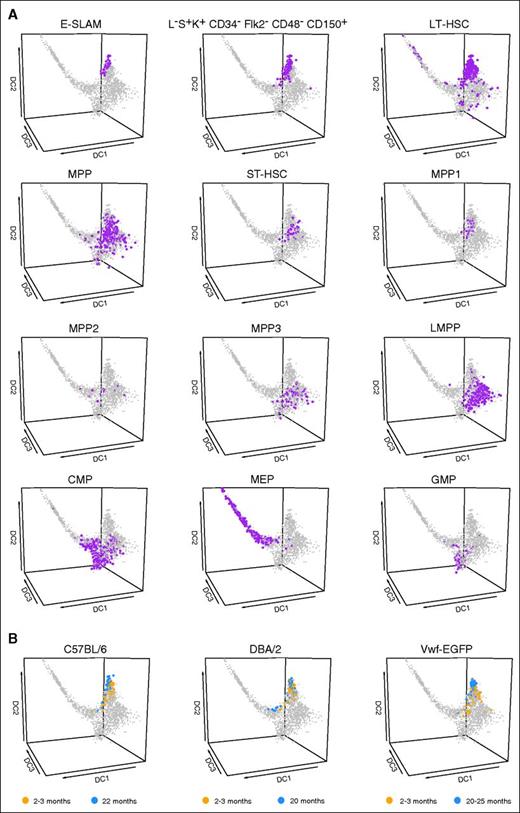 Figure 3. The single-cell HSPC transcriptional landscape can be used to visualize HSPC populations and their relationships. (A) Diffusion map of all cells was colored on the basis of cell population using narrow gating. All populations were identified retrospectively by using the index sorting data. Populations were identified by using normalized index data. The cells of interest for each population are colored purple and enlarged for easier visibility. (B) Diffusion map of all cells with projection of data from recently published data sets. Data collected by Kowalczyk et al (C57BL/6, DBA/2) and Grover et al (Vwf-EGFP) is displayed. Both groups collected HSCs from mice 2 to 3 months (orange) and 20 to 25 months (blue) old. HSCs were defined as Lin–c-Kit+Sca1+CD150+CD48–.