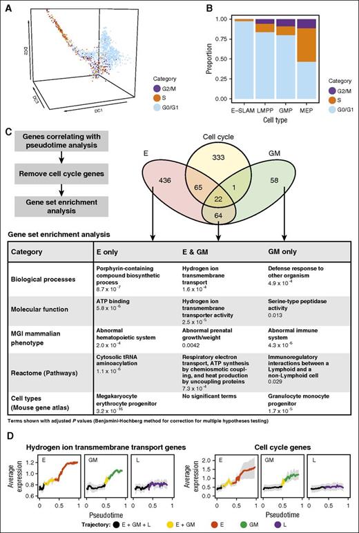 Figure 5. Analysis of cell cycle activation during HSPC differentiation at single-cell resolution. (A) Diffusion map of all cells colored by computationally assigned cell cycle category. There is no assignment for G0 separately because of limitations of the method. (B) Proportion of E-SLAMs, LMPPs, GMPs, and MEPs in each of the cell cycle categories. The cell types displayed are based on the narrow gating strategy. (C) Gene set enrichment analysis was performed for the 3 trajectories after the removal of cell cycle genes. The most relevant significant terms for genes positively correlated with pseudotime analysis are shown. Terms with an adjusted P value <.05 (using Benjamini-Hochberg correction for multiple testing) were considered significant. The full tables of results can be found in the supplemental Data. (D) Average expression of hydrogen ion transmembrane transport genes and cell cycle genes across pseudotime. Each gene was normalized across the median of all 3 trajectories for plotting. The average expression is colored by trajectory, and means are shown with standard deviations. tRNA, transfer RNA.