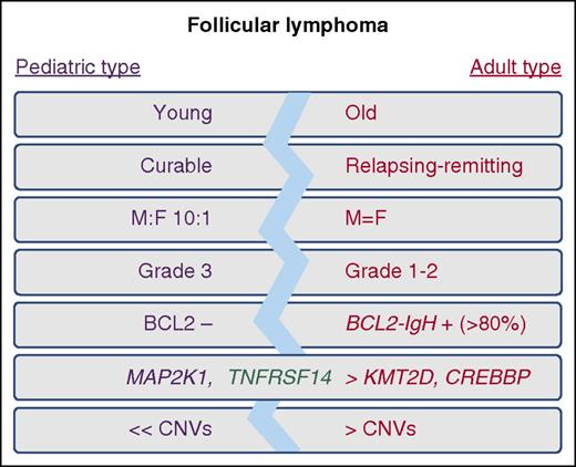 Features of pediatric-type and typical adult-type follicular lymphoma. CNV, copy number variation; F, female; M, male.