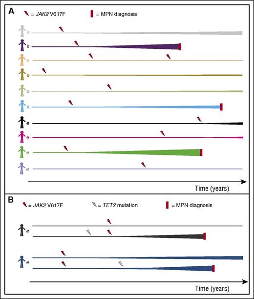 Impact of the inherited genome on the fate of JAK2 V617F mutant hematopoietic stem cells. (A) After the acquisition of the JAK2 V617F mutation, the fate of HSCs and their progeny is markedly influenced by heritable polymorphisms in the host genome. In many instances, expansion of JAK2 V617F–positive clones (depicted as expanding lines) leads to the development of detectable clonal hematopoiesis, and in some of these, the clones enlarge sufficiently to produce an MPN phenotype. It is also probable that, in many instances, clones remain very small and below the detection limits of conventional approaches. It should be noted that, although many genetic polymorphisms are likely to operate in a cell autonomous manner, others may influence the growth of mutant HSCs through non–cell autonomous effects. Also, the clonal size required to produce a clinical phenotype varies significantly between individuals, and this is also likely to be influenced by genetics. (B) Although most cases of JAK2 V617F–positive MPNs do not harbor any additional identifiable somatic driver mutations, some cases do have such mutations and they most commonly affect the TET2 gene. Hypothetically prior acquisition of a mutation in TET2 may be able to convert an unfavorable genome into a favorable one for JAK2 V617F to drive clonal expansion and MPN development (this is depicted in the fates of 2 distinct HSCs from the same individual). Alternatively, acquisition of TET2 mutations after JAK2 can accelerate clonal growth.
