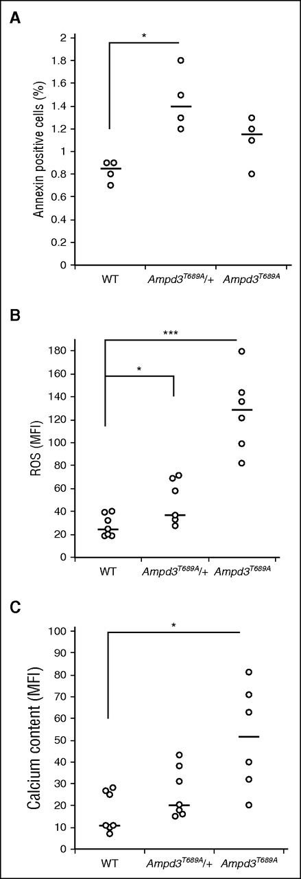 Figure 5. The Ampd3T689A mutation causes increased oxidative stress and cell senescence. (A) Proportion of Annexin V–positive mature RBCs (CD71−) (n = 4). (B) Amount of reactive oxygen species in mature RBCs (CD71−) as measured by mean fluorescence intensity of H2DCFDA, for WT (n = 7), Ampd3T689A/+ (n = 7), and Ampd3T689A (n = 6). Combined results of 2 independent experiments are shown. (C) Amount of calcium in mature RBCs (CD71−) as measured by mean fluorescence intensity of FLUO3-am for WT (n = 7), Ampd3T689A/+ (n = 7), and Ampd3T689A (n = 6). Combined results of 2 independent experiments are shown. Black bars represent median. *P < .05; ***P < .001. P values calculated using the Student t test.