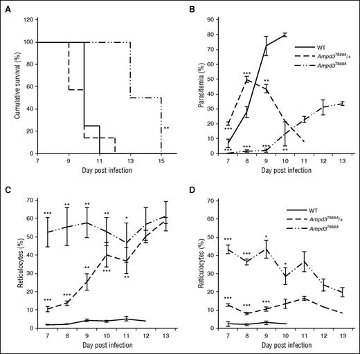 Figure 7. Ampd3T689A has altered reticulocytosis in response to infection and splenectomy. Cumulative survival (A), peripheral parasitemia (B), and reticulocyte response (C-D) for splenectomized (A-B,D) or nonsplenectomized (C) female mice. (A-B,D) WT (n = 8), Ampd3T689A/+ (n = 8), and Ampd3T689A (n = 4) infected with P. chabaudi. Mean ± SEM proportion of reticulocytes and parasitemia in (C) P. chabaudi–infected female WT (n = 17), Ampd3T689A/+ (n = 11), and Ampd3T689A (n = 6) mice. *P < .05; **P < .01; ***P < .001. P values calculated using the Student’s t test.