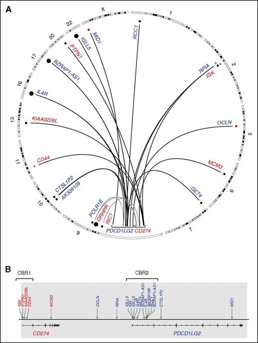Figure 1. The structural rearrangement landscape of the PDL locus (9p24.1) as determined by capture sequencing. (A) A circos plot representing translocation (black arcs) and large inversion (gray arcs) partners of CD274 (red) and PDCD1LG2 (blue). Smaller dots denote single reported partners, whereas large dots denote partners that were observed twice within our cohort. Black dots were Sanger validated; red dots were PCR validated only, and gray dots were not validated due to exhaustion of clinical material. (B) A linear plot denoting the location of the translocation breakpoints in the PDL region (arrows) with partners labeled above. Newly annotated CBRs, CBR1 and CBR2, are indicated. Gray shading represents the captured region.