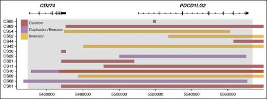 Figure 2. A linear map of intrachromosomal PDL SRs. The deletions, duplications, and inversions identified in the PDL region are shown. The x-axis represents genomic coordinates, and individual cases are shown on the y-axis. Boxes represent the genomic span of the SRs. Gray shading represents the captured region, and RefSeq gene models are shown to scale for reference.