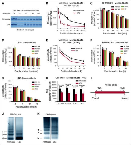 Figure 1. Kinetics of monoadducts repair in MM cell lines. (A) Representative autoradiograms for the Southern blot analysis of monoadducts. 0/0, no treatment. A horizontal line has been inserted to indicate a repositioned gel lane. The kinetics of monoadducts repair 0 to 2 hours (B) and 2 to 48 hours (E) after treatment with melphalan alone are shown. NO INH, no inhibitor. The kinetics of monoadducts repair 0 to 2 hours (C-D) and 2 to 48 hours (F-G) after treatment of RPMI 8226 (C,F) and LR5 (D,G) cells with melphalan in the presence or not of an inhibitor are also presented. (H) Total amounts of monoadducts, expressed as AUC, after treatment with melphalan in the presence or not of an inhibitor. (I) The gene locus where the kinetics of DNA repair and chromatin condensation were evaluated. Representative autoradiograms showing chromatin condensation of the untreated RPMI 8226 and LR5 cells in the FN3 (J) and FN6 (K) fragments of the N-ras gene locus. Vertical lines have been inserted to indicate a repositioned gel lane. Symbols M, D, and T represent the positions of nucleosome monomer, dimer, and trimer, respectively. The experiments shown were based on a minimum of 3 independent repeats. Bar graphs and error bars show mean ± standard deviation (SD).