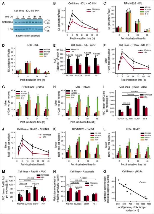 Figure 2. Interstrand crosslinks formation/repair, γH2AX and Rad51 foci formation, and melphalan toxicity in MM cell lines. (A) Representative autoradiograms for the Southern blot analysis of ICLs 0 to 48 hours after treatment with melphalan alone. DS, double-stranded DNA; SS, denatured, single-stranded DNA. (B) The kinetics of ICL formation and repair 2 to 48 hours after treatment with melphalan alone. NO INH, no inhibitor. The formation and repair of ICLs 2 to 48 hours after treatment of RPMI 8226 (C) or LR5 (D) cells with melphalan in the presence or not of an inhibitor. (E) Total amounts of ICLs, expressed as AUC, after treatment with melphalan in the presence or not of an inhibitor. (F) γH2AX foci formation 2 to 48 hours after treatment with melphalan alone. The formation of γH2AX foci after treatment of RPMI 8226 (G) or LR5 (H) cells with melphalan alone or in combination with an inhibitor. (I) Total amounts of γH2AX foci, expressed as AUC, after treatment with melphalan in the presence or not of an inhibitor. (J) Rad51 foci formation 2 to 48 hours after treatment with melphalan alone. Formation of Rad51 foci after treatment of RPMI 8226 (K) or LR5 (L) cells with melphalan alone or in combination with an inhibitor. (M) Total amounts of Rad51 foci, expressed as AUC, after treatment with melphalan in the presence or not of an inhibitor. (N) The induction of apoptosis 24 hours after treatment with melphalan in the presence or not of an inhibitor. (O) Correlation between the melphalan doses required for the induction of apoptosis and the drug-induced γH2AX foci in the same cells. The experiments shown were based on a minimum of 3 independent repeats. Bar graph and error bars show mean ± SD.