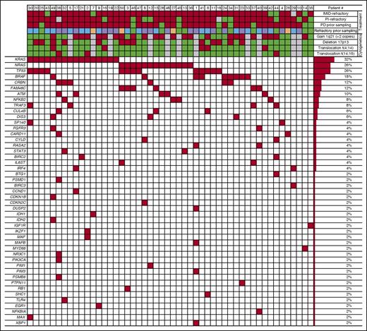 Figure 1. Genomic mutations, adverse cytogenetic aberrations, and treatment characteristics of 50 relapsed/refractory MM patients. All patients are identified by individual numbers. Refractory status to IMiDs or PIs at any time before sampling is shown as well as PD and refractory (IMiD, PI, other drug classes) status immediately before sampling. Information on the adverse cytogenetic aberrations gain 1q21 (>2 copies), deletion (17p), and translocations t(4;14) and t(14;16) are depicted. Genes mutated in at least 1 patient are displayed. Genes (from top to bottom) and patients (from left to right) are sorted according to gene mutation frequencies. Treatment characteristics and cytogenetic aberrations are color-coded: red, yes; green, no; gray, unknown/not available. Refractory drugs immediately prior to sampling are also color-coded: purple, IMiD refractory; blue, PI refractory; orange, other drug classes (including cytotoxic agents and antibodies); green, not refractory to treatment immediately prior to sampling.